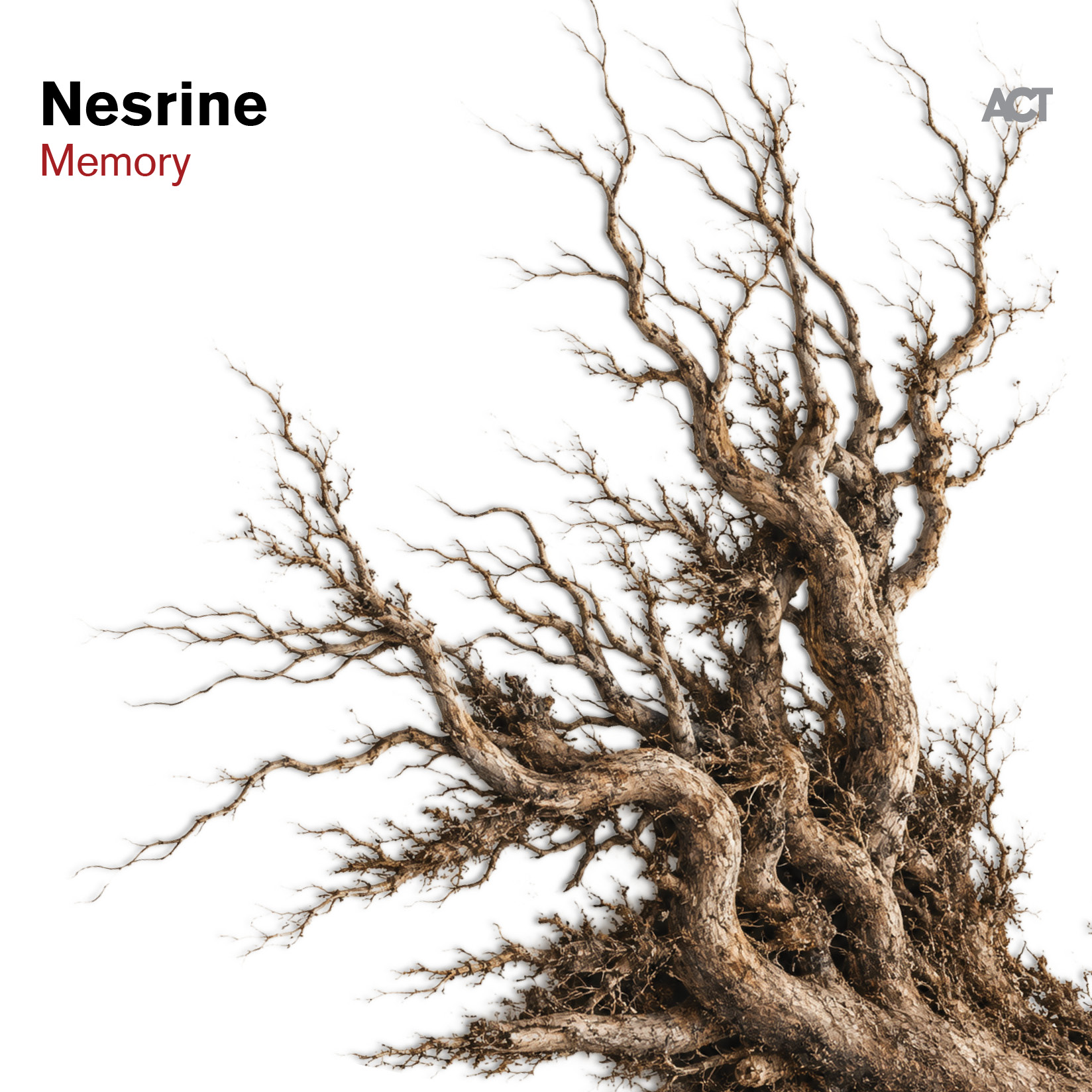 Nesrine — Memory, pochette originale